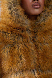 BREAK THE BANK HOODED FAUX FUR