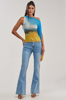 PICTURESQUE LONG SLEEVE MESH TOP
